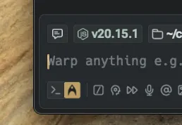 The Node Version chip displays the Node.js version detected in your repository.